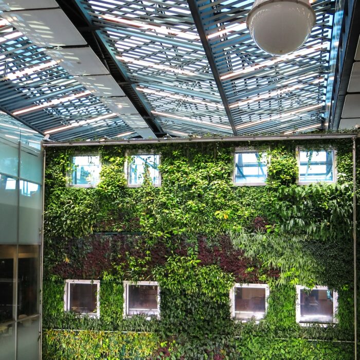 Grand mur végétal dans un bâtiment