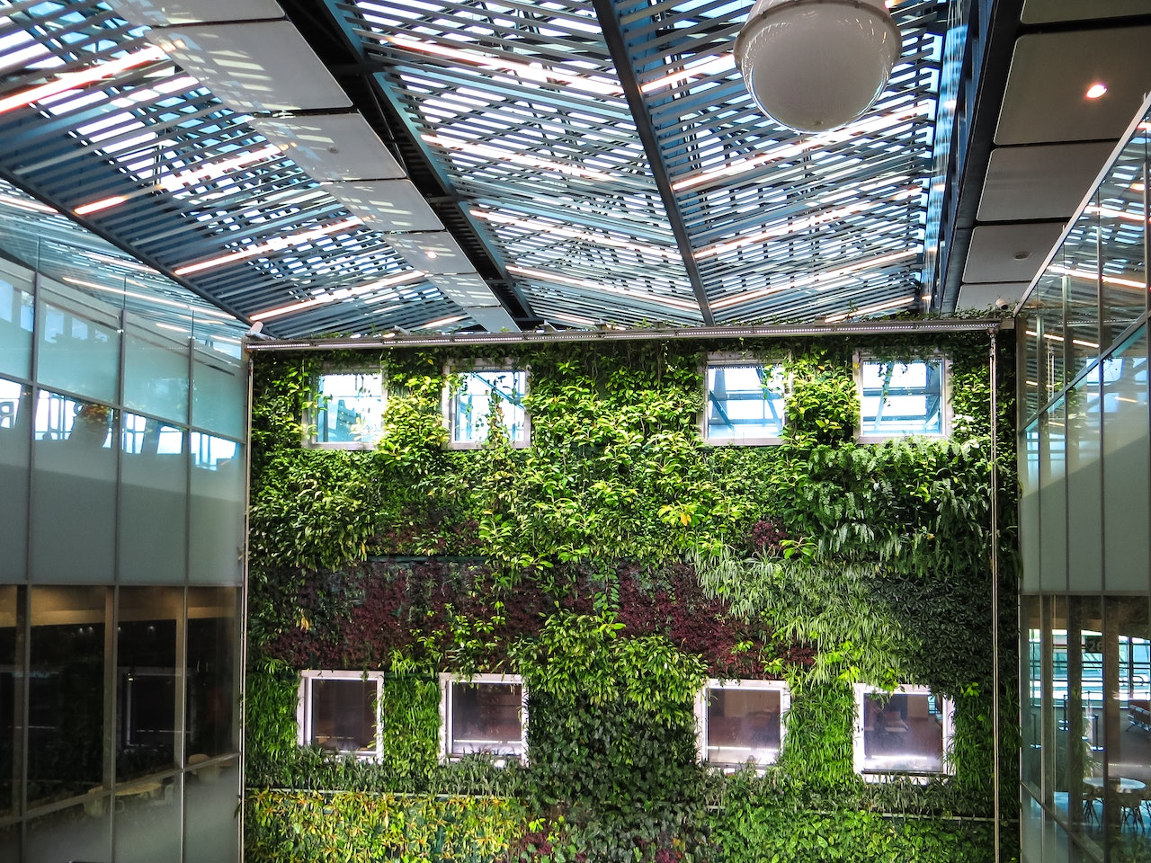 Grand mur végétal dans un bâtiment