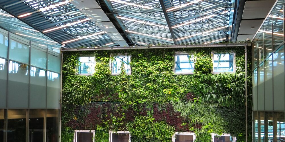 Grand mur végétal dans un bâtiment